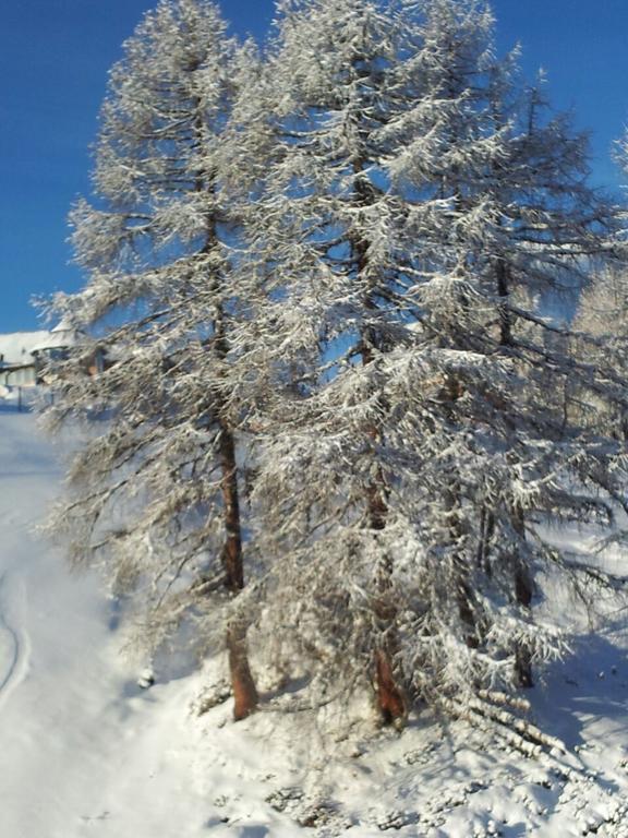 Ferienwohnung Familie Wieser Altenmarkt im Pongau Zewnętrze zdjęcie